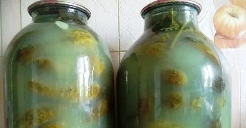 Если помутнели и вздулись огурцы в банке, не спешите их выбрасывать. Рассказываю, что с ними можно сделать