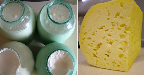 Из 12 л молока выход сыра приблизительно 1,5 кг. Из 12 л молока выход сыра приблизительно 1,5 кг.