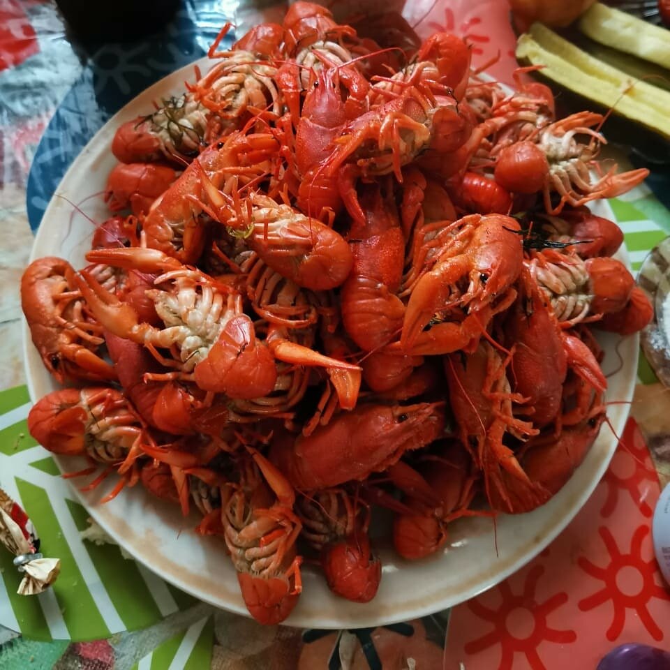 Сваты пригласили в гости,а после предъявили счёт за продукты заморские.