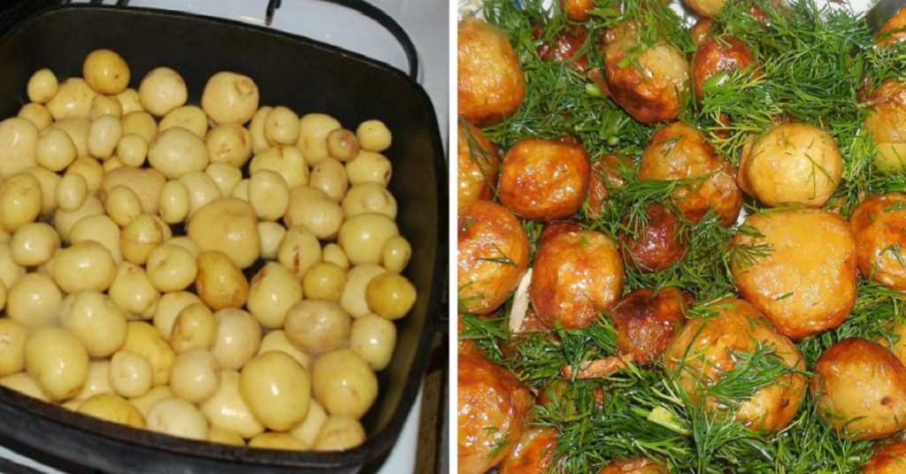 Что можно приготовить из  картофеля: ТОП-5 самых вкусных блюд специально для гурманов!