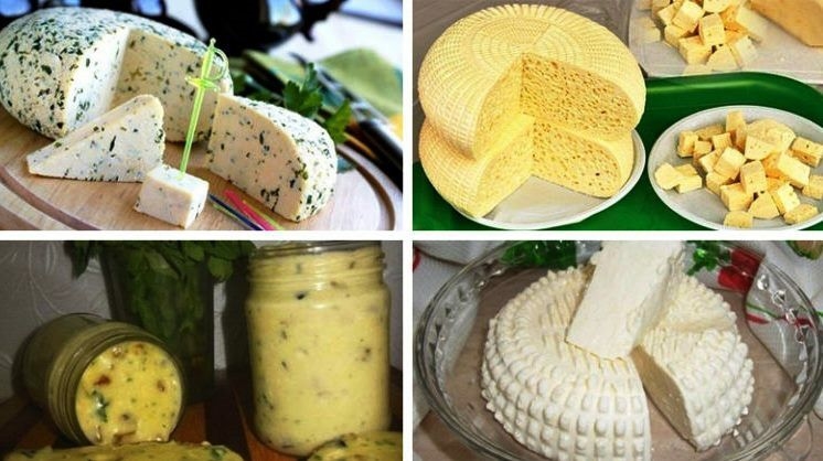 Домашние сыры. 15 рецептов — все секреты приготовления