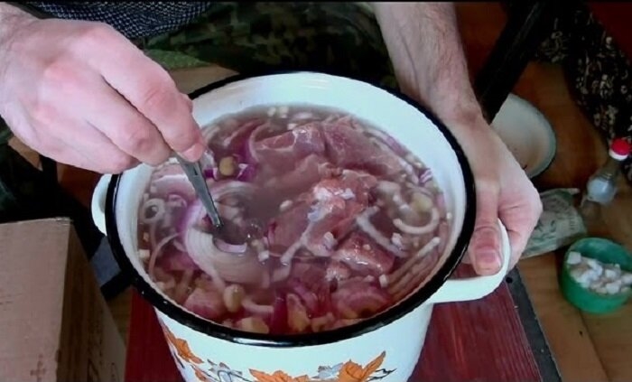 Почему в СССР всегда мариновали шашлык с уксусом. А сегодня уксус в шашлыках непростительная ошибка Почему в СССР всегда мариновали шашлык с уксусом. А сегодня уксус в шашлыках непростительная ошибка