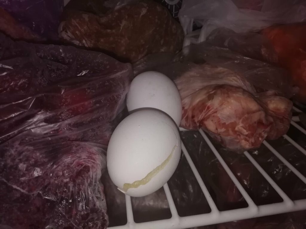 Была уверена, что заморозка яиц полная чушь. Пока сама не попробовала. Отличный лайфхак